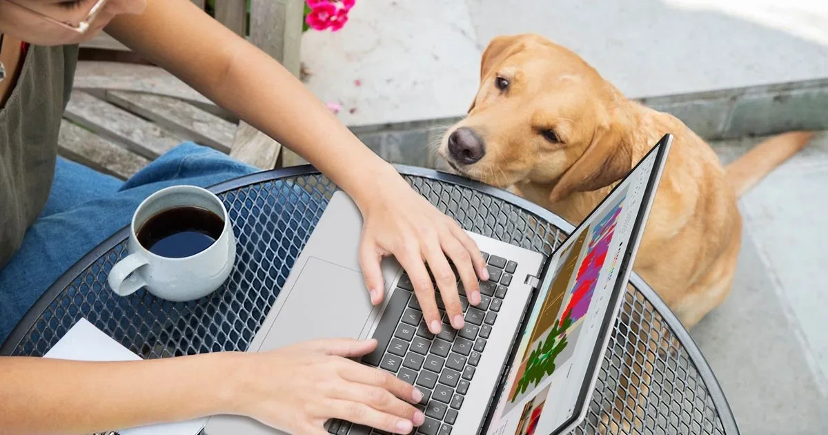 Bir kişi açık dizüstü bilgisayarda çalışırken yanında bir köpek duruyor