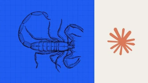 Claude 64 Saatte Akrep Zehrine Bağlanan Proteinler Tasarladı