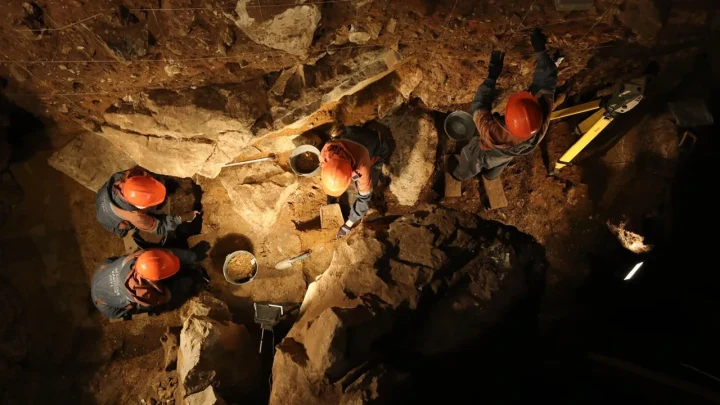 Denisova Mağarası’nda araştırmacılar tarafından yürütülen arkeolojik kazı çalışması
