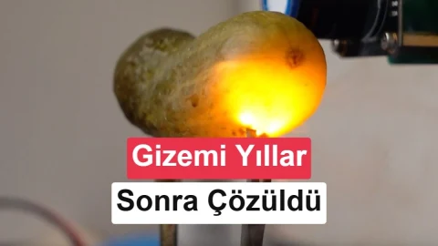 Elektrik verilen turşunun neden parladığı açıklandı