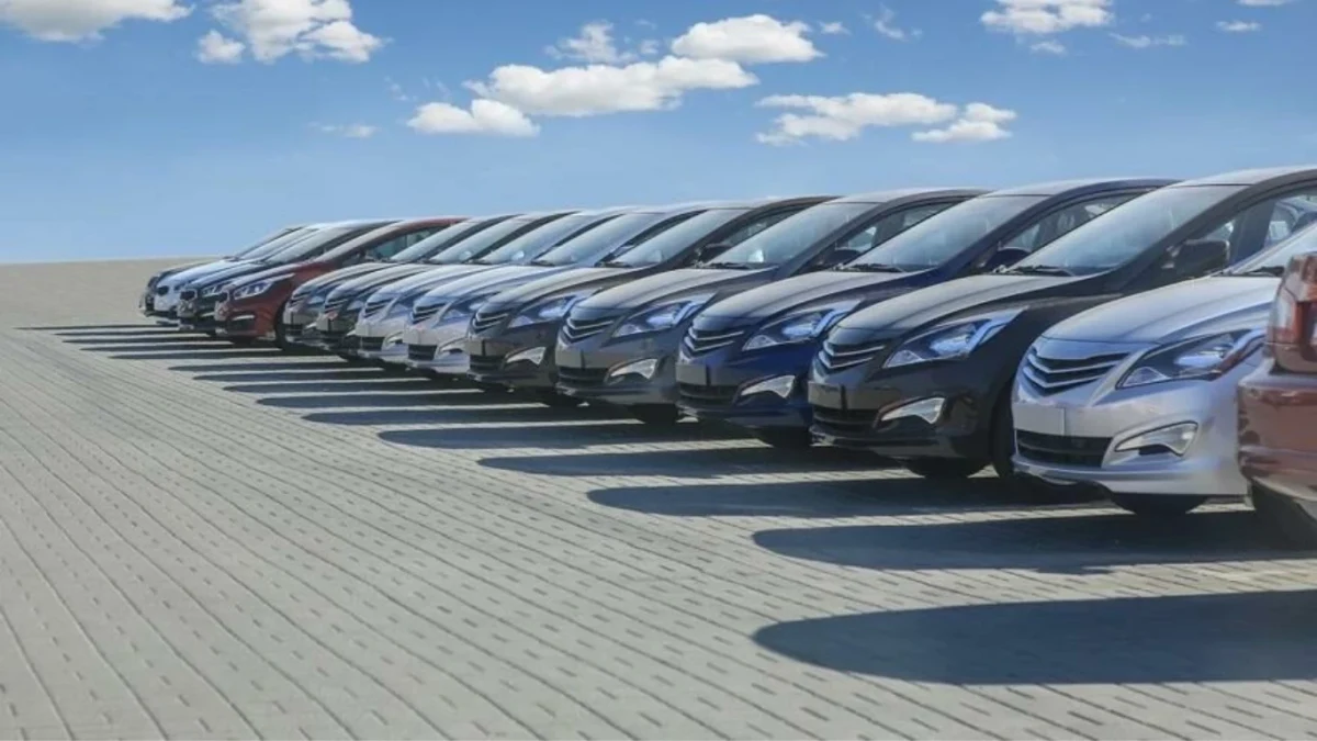 Açık alanda yan yana sıralanmış otomobiller