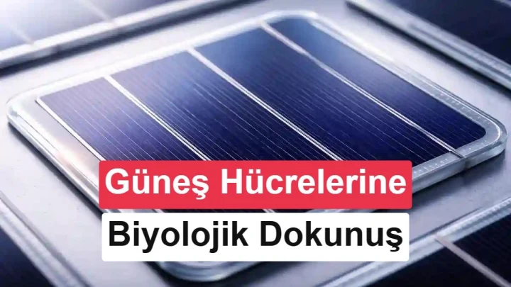 Güneş hücresi üretiminde kullanılan gümüş parçacıkları