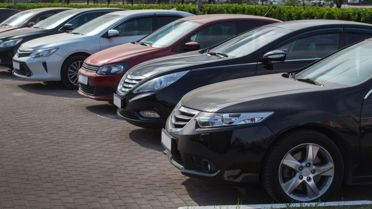 Park halindeki otomobillerin ön kısımları