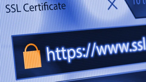 Üç ülkenin DNS sistemleri hedef alındı: Büyük servisler için sahte HTTPS sertifikaları üretildi