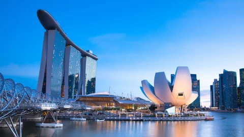 Yapay zekâyla üretilen timsah görseli Singapur’da paniğe yol açtı