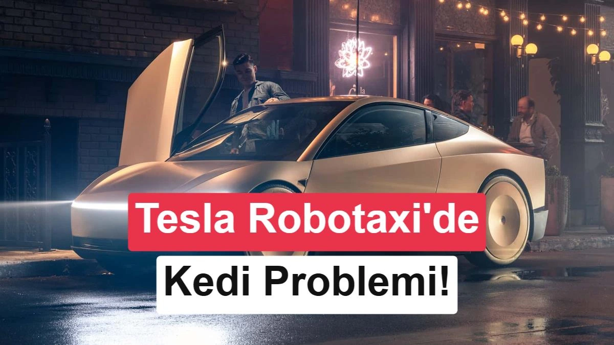 Karanlık yolda bir kedinin kamera görüntüsü ve lidar verisiyle gösterimi
