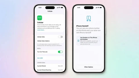 Verizon, iPhone Handoff için aylık 10 dolar ücret alacak